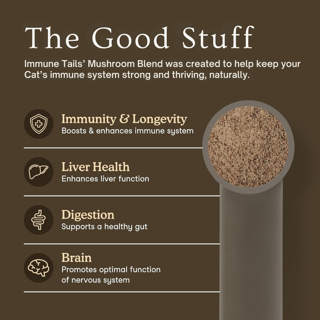 Premium Mushroom Wellness Blend™