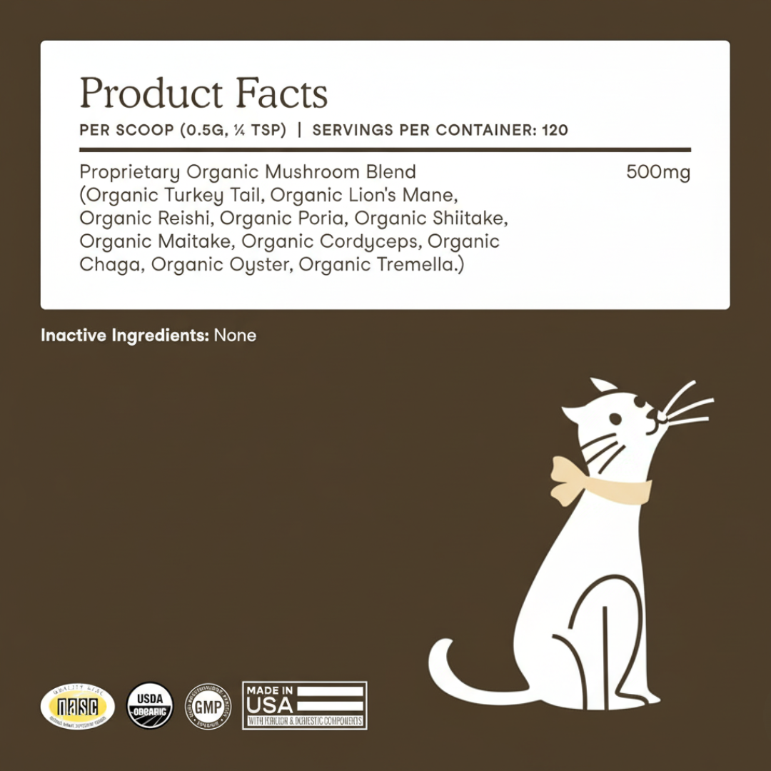 Premium Mushroom Wellness Blend™