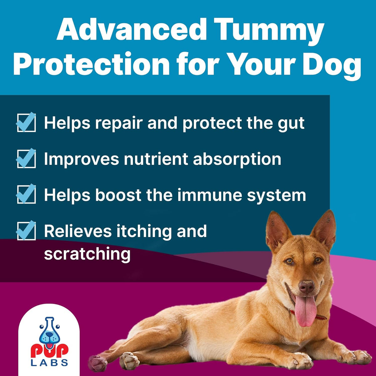 VL Belly Bliss™ Gut Health For Dogs - Vet Approved Prebiotic