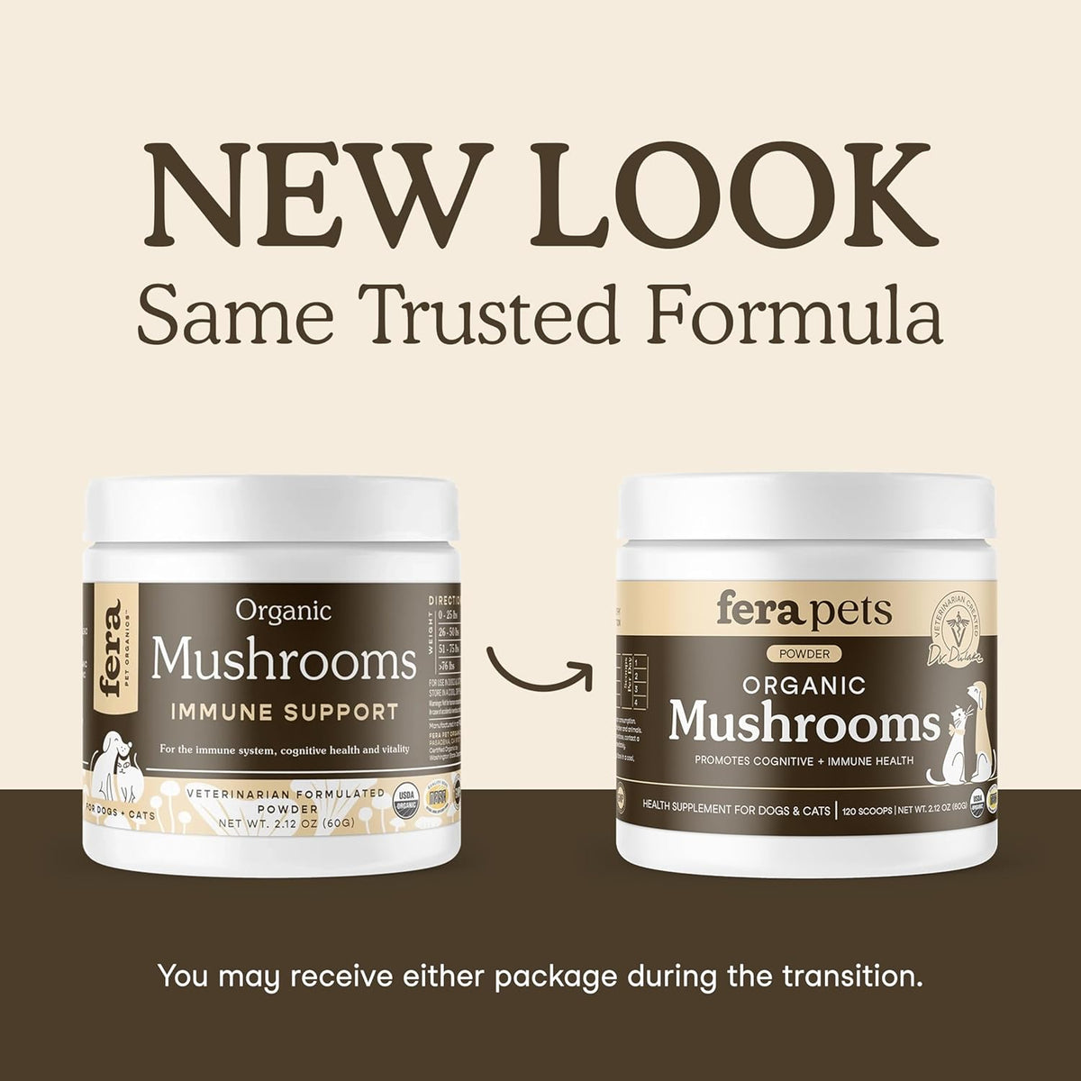 Premium Mushroom Wellness Blend™ (Copy)