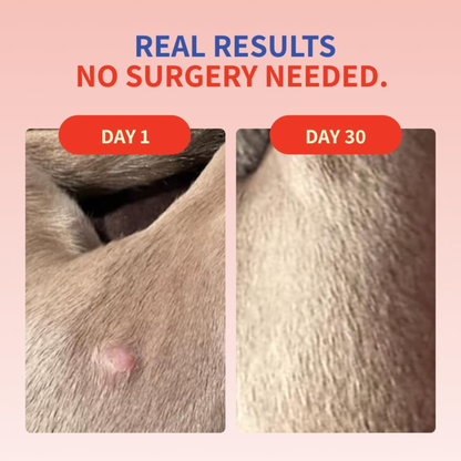 Turkey Tail+ Mushroom | Probiotics Formula For Puppies™