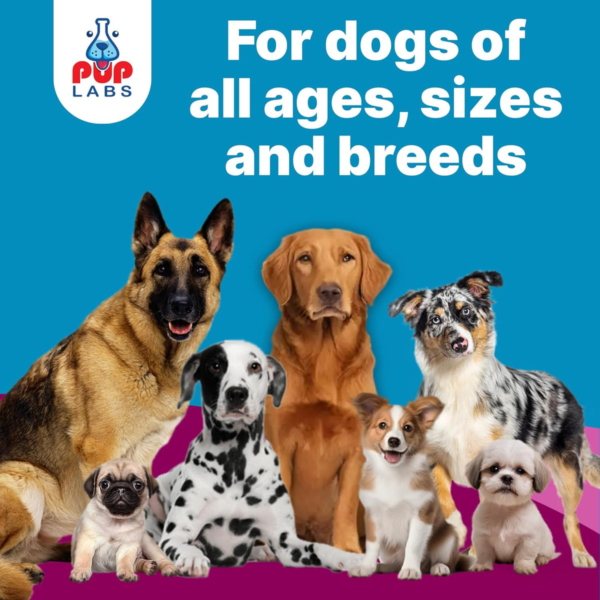 VL Belly Bliss™ Gut Health For Dogs - Vet Approved Prebiotic