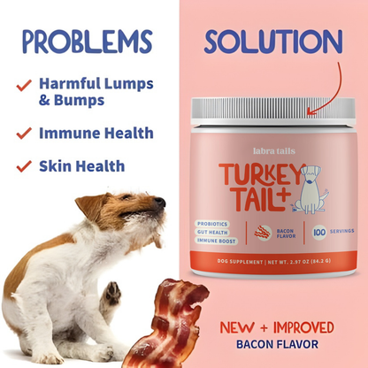 Turkey Tail+ Mushroom | Probiotics Formula For Puppies™