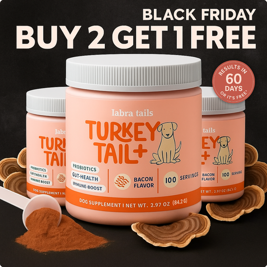 Turkey Tail+ Mushroom | Probiotics Formula For Puppies™