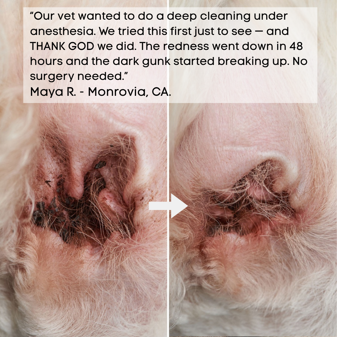 Ear Clear™ Natural Dog Ear Cleaner